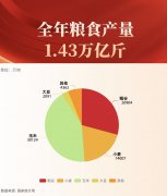 一组数据看粮食安全“压舱石”更坚实