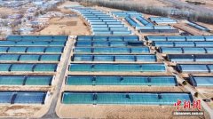 宁夏智能种田试点见效 破解农业“不会种、无人种”难题