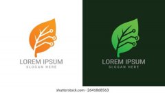 <b>锦宁庆江科技聚焦技术研发，强化企业数字能力</b>